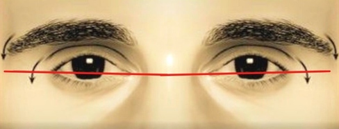 What is an Eye canthal Tilt? Why is a positive tilt more attractive than a  negative tilt among females? - PinkMirror Blog