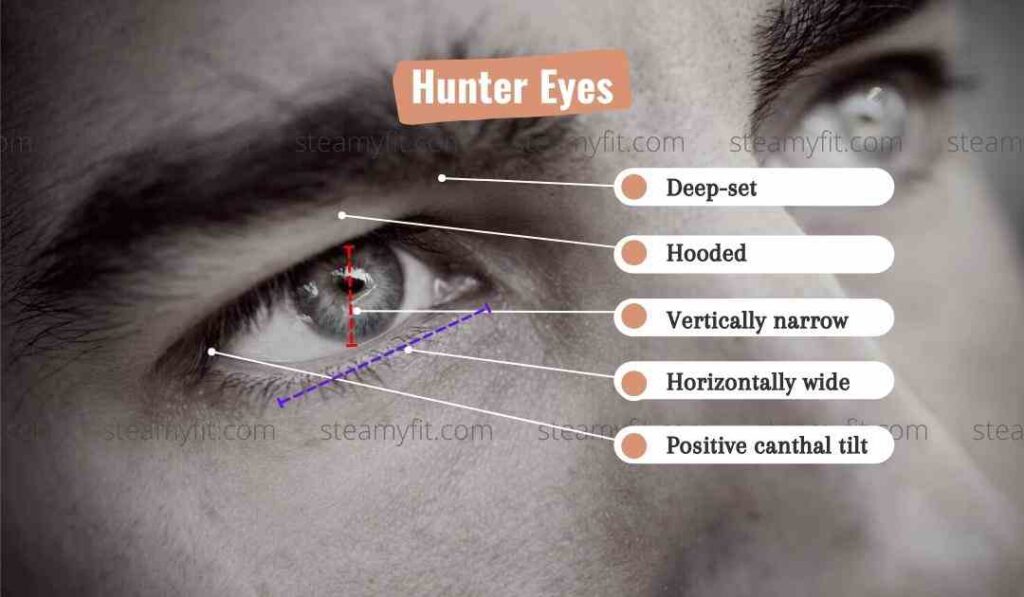 Hunter Eyes Features