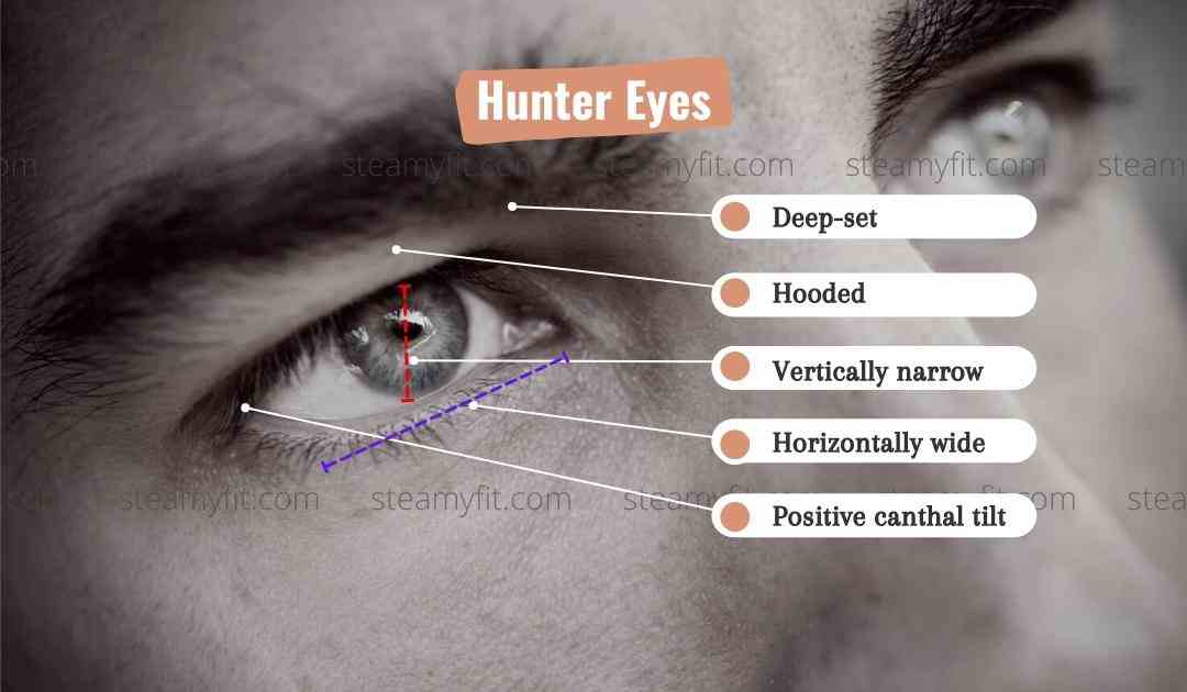 Best Ways To Get Stunning Hunter Eyes Steamyfit